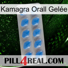 Kamagra Orall Gelée 22